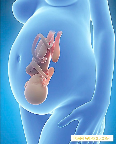 孕期缺微量元素对胎儿有什么影响_孕期-摄取-胎儿-孕妇-影响-生长发育-微量元素-