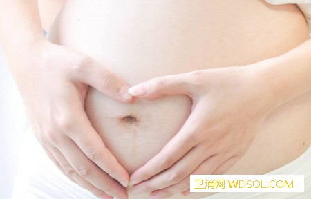 孕妇补铁吃什么食物好_叶酸-肠道-孕期-孕妇-吸收-食物-补铁-