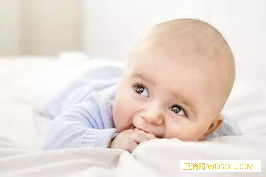 6个月宝宝发育标准是怎样的_男婴-女婴-蛋黄-南瓜-个月-宝宝-标准-