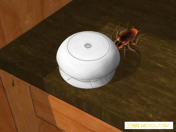 如何使用诱饵消灭蟑螂来看消灭蟑螂的_卫生球-硼酸-诱饵-蟑螂-