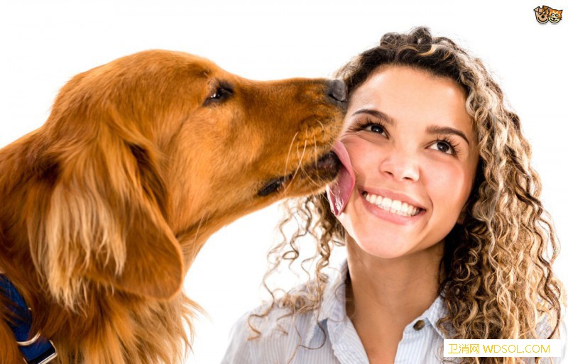 dogs-and-licking-how-to-stop-your-dog-from-licking-you-5280f3ba87f60