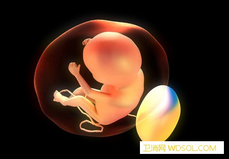 胎儿什么时候睡觉_胎动-胎儿-饭后-孕妇-