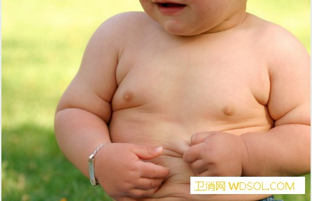 引起小儿肥胖的原因是什么_肥胖-脂肪-家长-孩子-