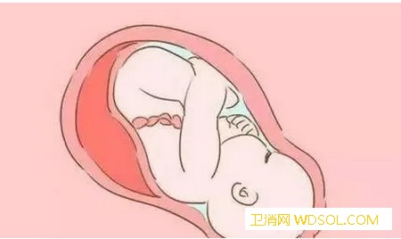 胎儿作息时间是什么样的胎儿喜欢什么时候睡觉_尿频-胎儿-熟睡-睡觉-