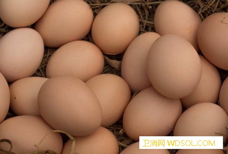 宝宝怎样吃鸡蛋最有营养？_脾胃-蛋黄-消化吸收-消化-