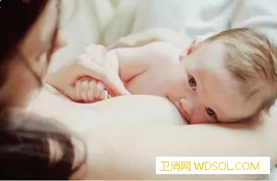 新生儿哺乳注意事项_吸吮-喂奶-乳头-哺乳-