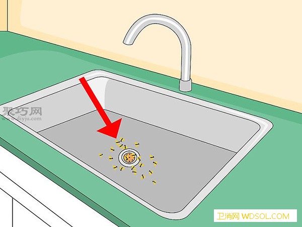 怎样去除果蝇的卵消灭果蝇图解教程_果蝇-排水管-捕蝇纸-垃圾桶-