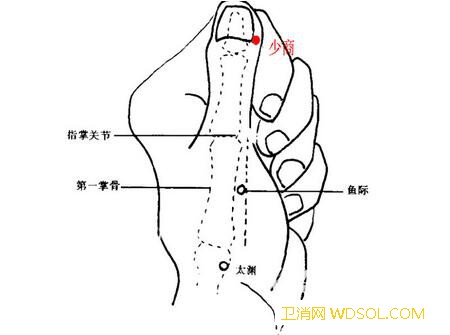 小儿扁桃体炎推拿按摩手法图解_掌骨-扁桃体炎-推拿-食指-