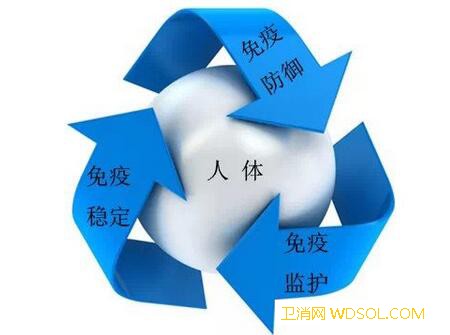 小儿推拿足三里的作用_脾胃-慢性病-强身-推拿-