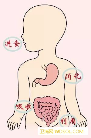 宝宝冬季养生保健怎么做_补药-进补-婴幼儿-维生素-