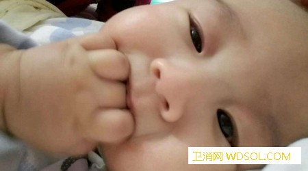 宝宝吃手什么时候停止_吮吸-手指-玩具-宝宝-