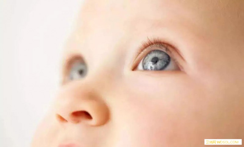 宝宝刚出生时能看见东西吗_辨识-个月-物体-视力-