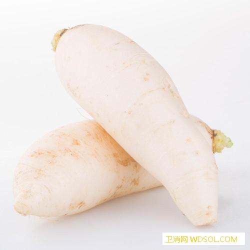 宝宝冬天上火吃什么蔬菜好_绿豆芽-上火-西红柿-吃什么-