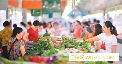中国每年蔬菜集约育苗2000亿株_移栽-集约化-育苗-蔬菜