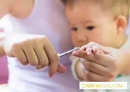 宝宝剪指甲注意事项_给他-修剪-指甲-妈妈-