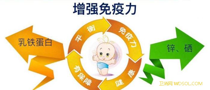 奶粉添加乳铁蛋白到底有什么好处_肠道-奶粉-婴幼儿-细菌-