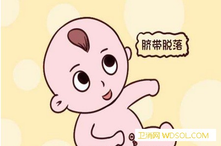 关于宝宝脐带护理的措施_脐带-肚脐-纱布-脱落-