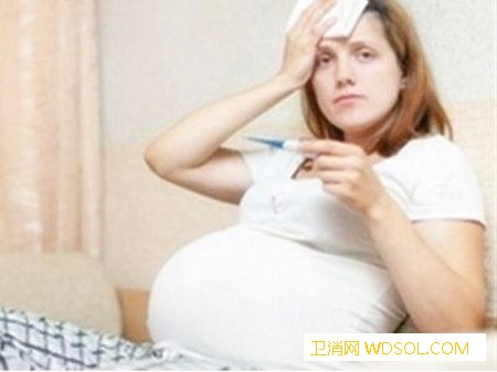 孕妇发烧用酒精擦哪些部位_腹股沟-上臂-擦身-擦拭-