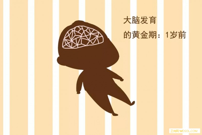 宝宝发育大脑黄金期是什么时候_家长-黄金-孩子-家长会-