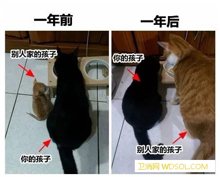 宝宝不爱吃饭有什么办法吗_玩儿-追着-几口-吃饭-
