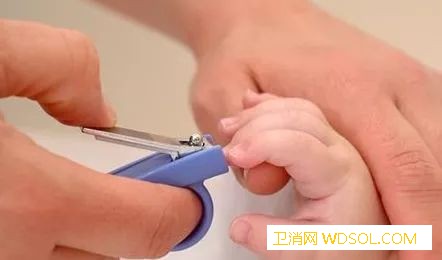 新生儿剪指甲剪到肉了怎么办_指甲钳-月牙-修剪-指甲-