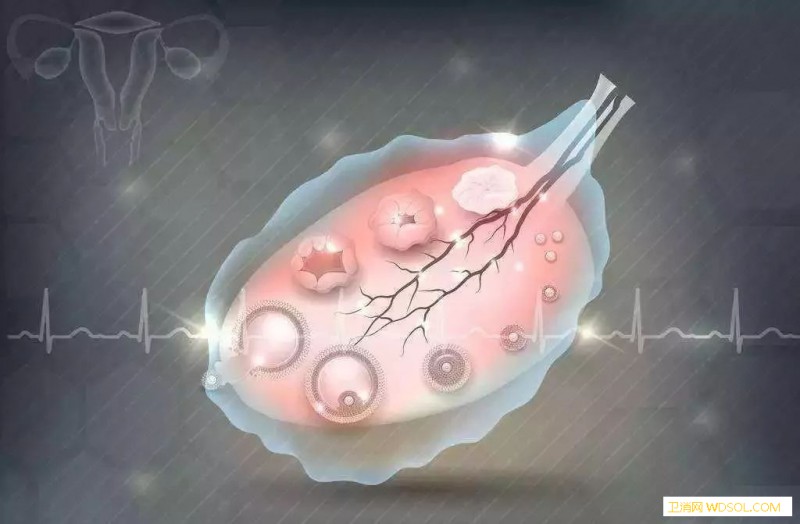 生长激素能改善试管婴儿成功率吗_实验组-生长激素-子宫内膜-临床-