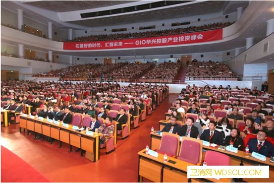 “在最好的时代汇智未来——GIO产业投资峰会_国家文物局-峰会-华兴-控股集团