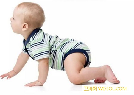 不要忽略宝宝的爬行_脑干-爬行-协调-身体-