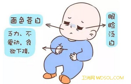 宝宝贫不贫血的标准_血红蛋白-红细胞-失血-贫血-