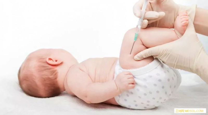 宝宝2019疫苗接种攻略_月龄-乙脑-接种-疫苗-