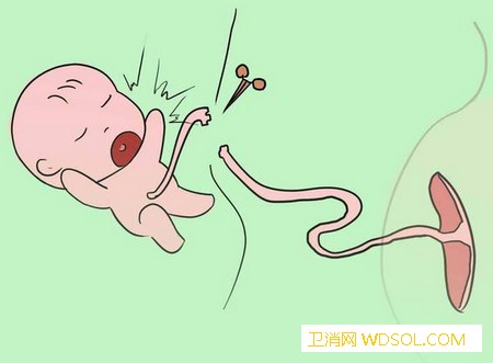 为什么新生儿是50cm长_叶酸-身长-孕期-子宫-