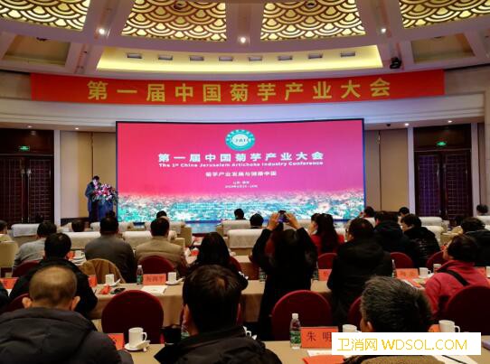 中国第一届菊芋产业大会在山东泰安举行_菊粉-菊芋-山东-产业化