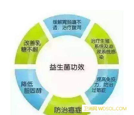 宝宝服用益生菌注意事项有哪些_肠道-抗生素-细菌-服用-