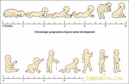 宝宝大运动的发展规律是什么_个月-顺序-动作-宝宝-