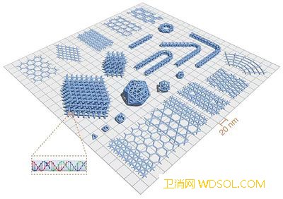 DNA折纸术“折”出生命所需神奇图案_折纸-双螺旋-纳米-折叠