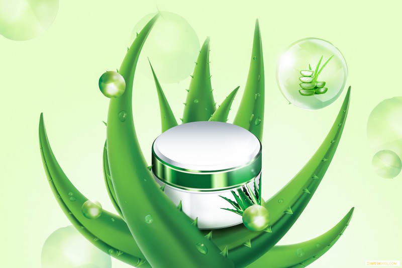 宝宝湿疹可以擦芦荟胶吗_疮痂-过敏原-干爽-湿疹-