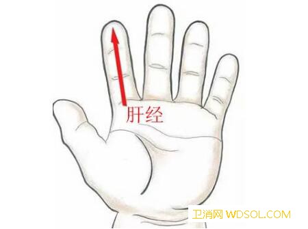小儿推拿治惊厥的手法是什么教你小儿惊厥怎么_惊厥-末节-推拿-螺纹-