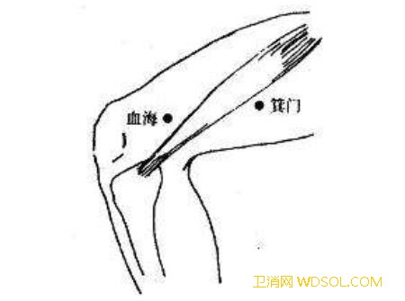 小儿下肢推拿穴位图_委中-合用-主治-抽搐-