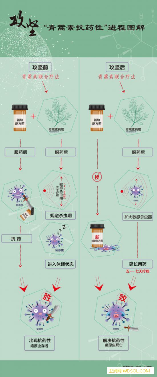 屠呦呦团队放“大招”：“青蒿素抗药性”等研究_呦呦-抗药性-疟疾-疟原虫