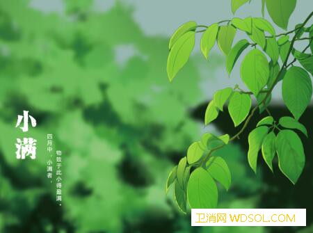 2020年小满节气出生的鼠宝宝好吗_天佑-雅静-节气-夏季-