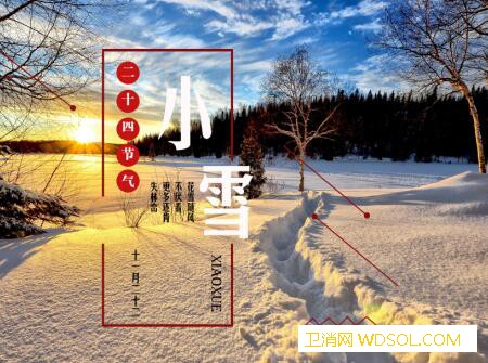 2020年小雪节气出生的鼠宝宝好吗_建中-较好-节气-嘉祥-