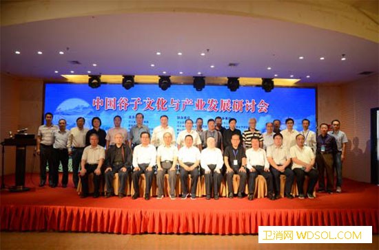 中国谷子文化与产业发展研讨会在河北武安市召开_谷子-武安市-健康-农耕
