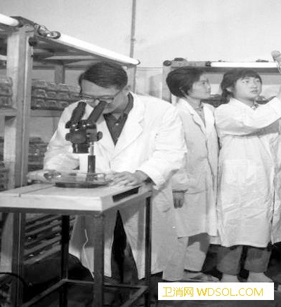 脊髓灰质炎糖丸减毒活疫苗研制成功（新中国的“_卫生部-脊髓灰质炎-医科院-疫苗